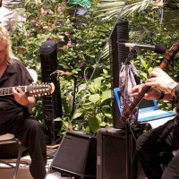 Nouveau Papillon Concert